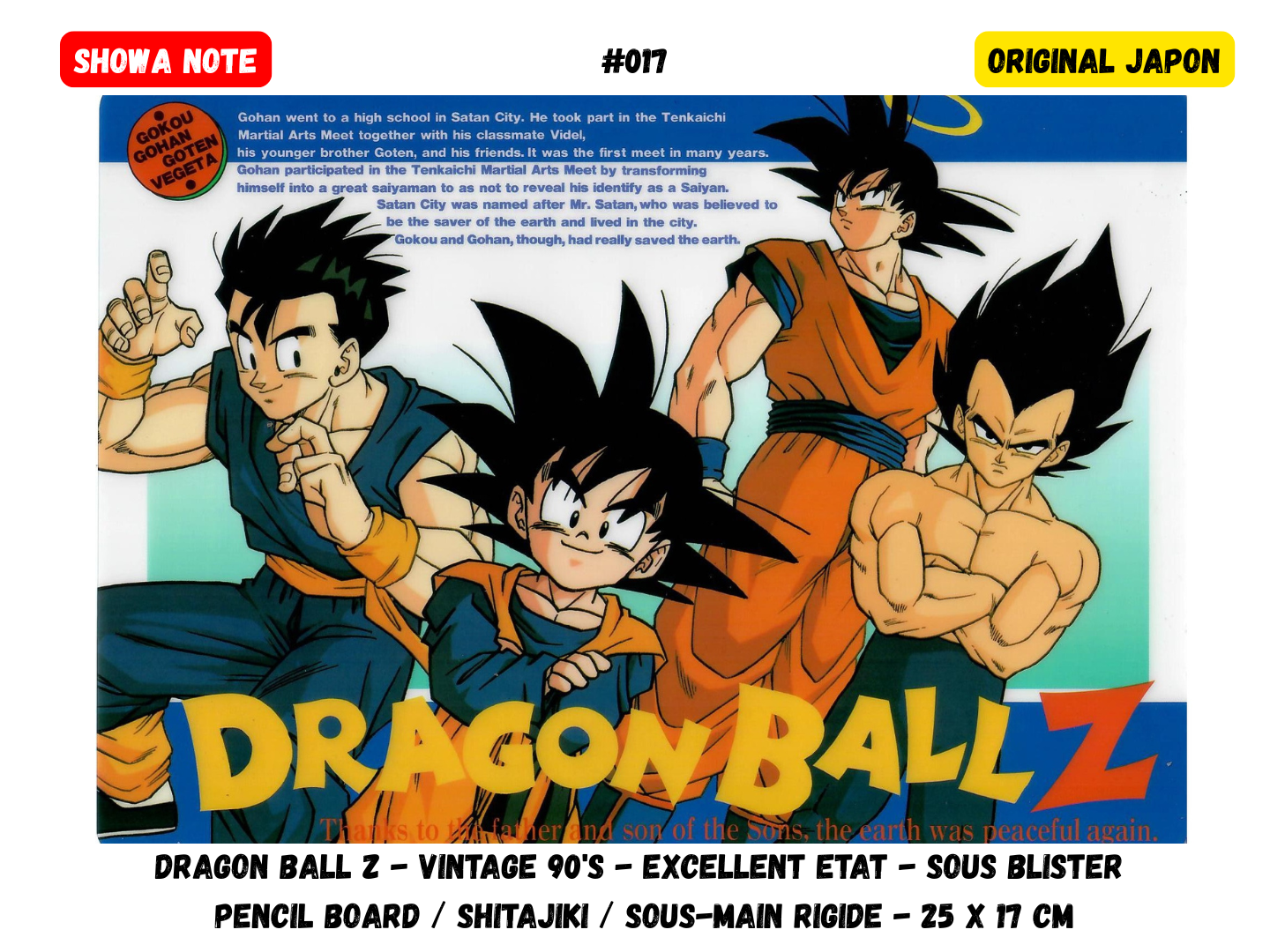 Dragon Ball Z Great Battle - Paysage